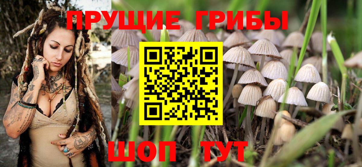 Галлюциногенные грибы мицелий  Вход с VPN  Удомля 